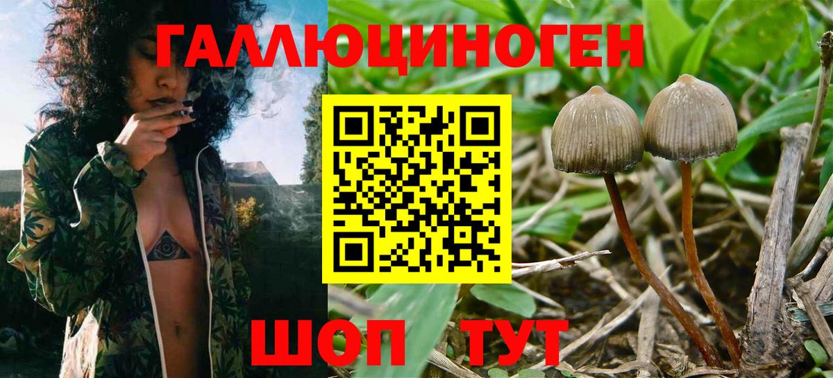 Галлюциногенные грибы мицелий Реж
