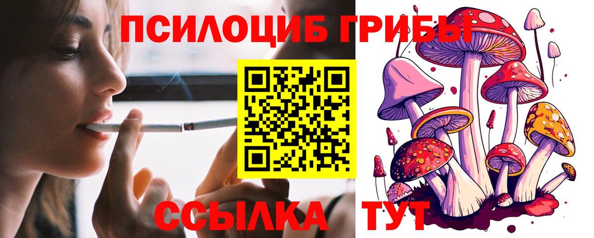 Псилоцибиновые грибы MAGIC MUSHROOMS  Вход с VPN  Реж 