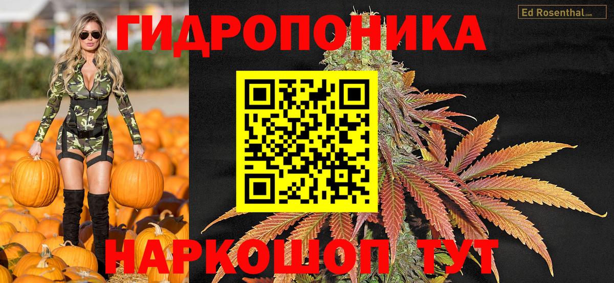 Конопля SATIVA & INDICA  Вход с VPN  МАРИХУАНА THC 21%  Каннабис гибрид  Канабис конопля  Реж 