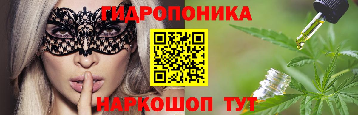 Бошки Шишки план Реж